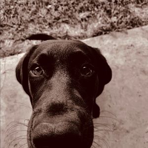 Meet your Posher, Tucker